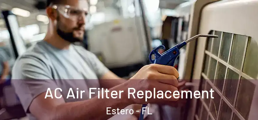  AC Air Filter Replacement Estero - FL
