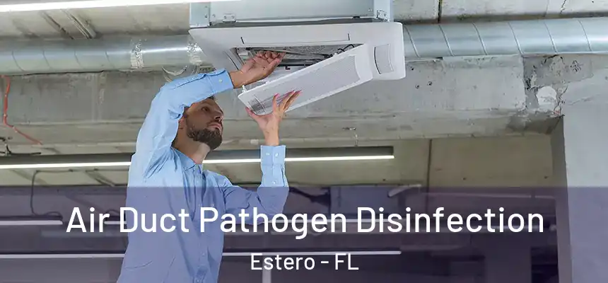 Air Duct Pathogen Disinfection Estero - FL