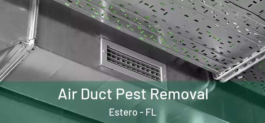  Air Duct Pest Removal Estero - FL