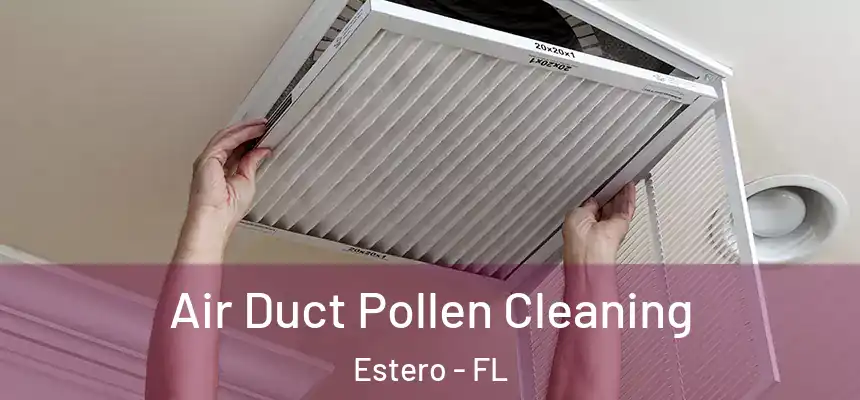  Air Duct Pollen Cleaning Estero - FL