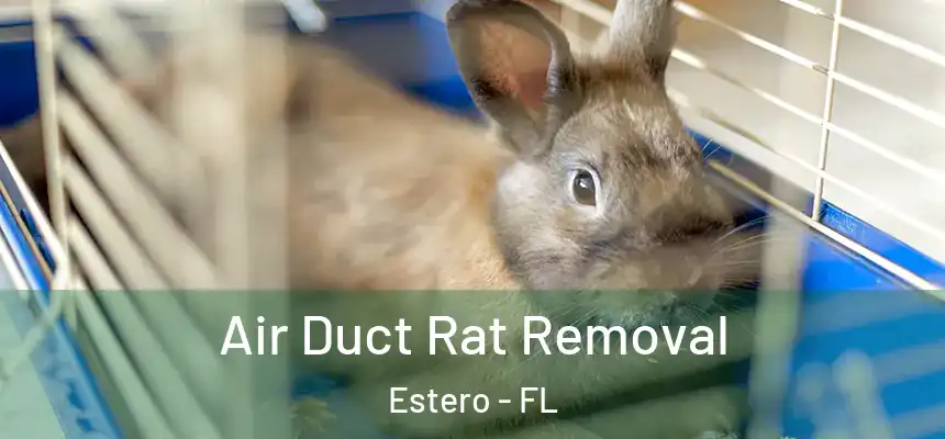  Air Duct Rat Removal Estero - FL