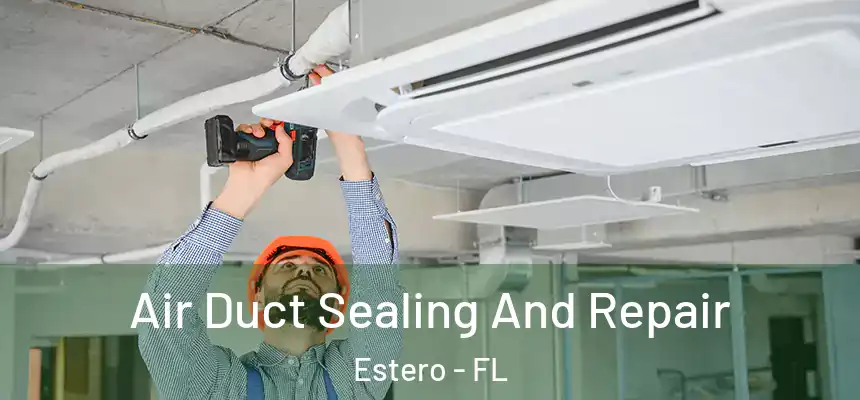  Air Duct Sealing And Repair Estero - FL
