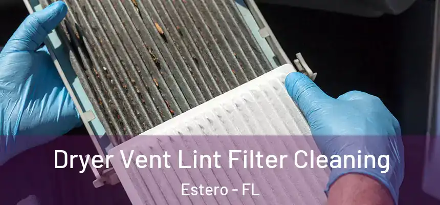  Dryer Vent Lint Filter Cleaning Estero - FL