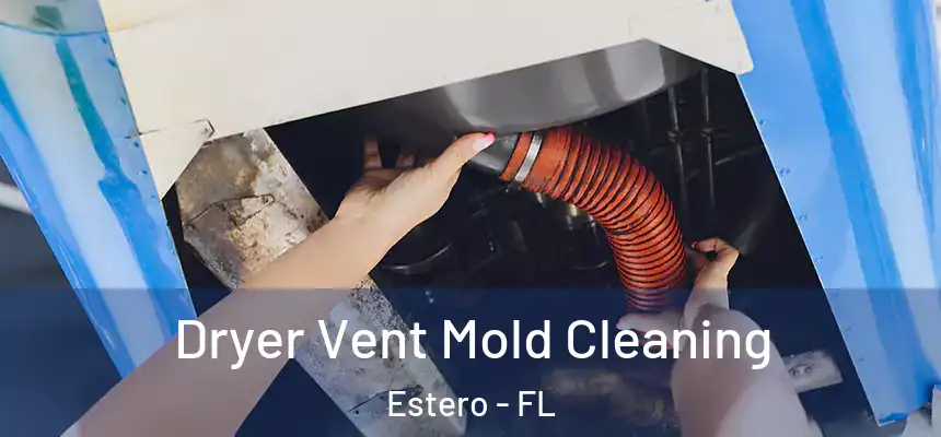 Dryer Vent Mold Cleaning Estero - FL