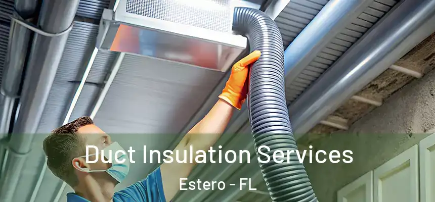 Duct Insulation Services Estero - FL
