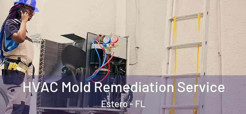 HVAC Mold Remediation Service Estero - FL