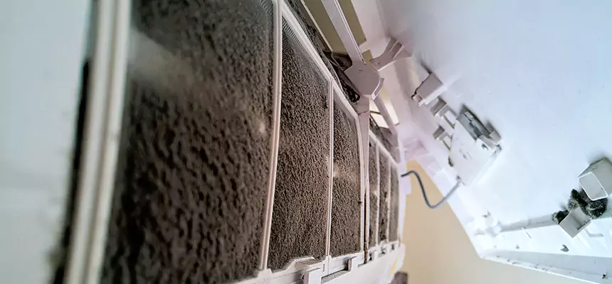 Preventive Air Duct Bacteria Removal in Estero