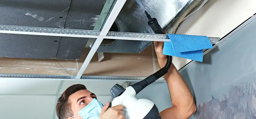 Our Air Duct Rodent Removal Services in Estero, FL