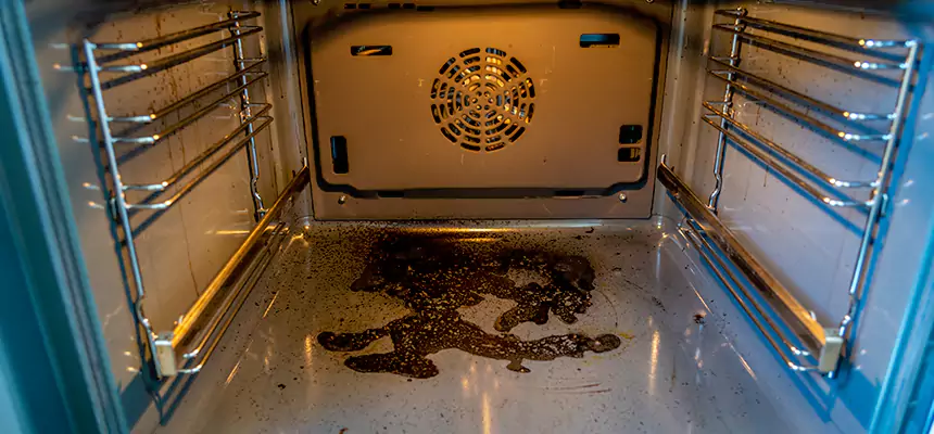 Our Dryer Vent Mold Cleaning Services in Estero, FL