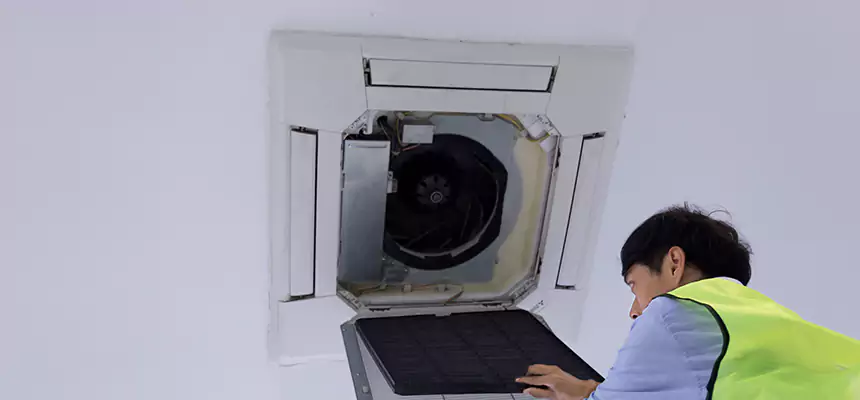 Our Dryer Vent Sanitization Service Services in Estero, FL