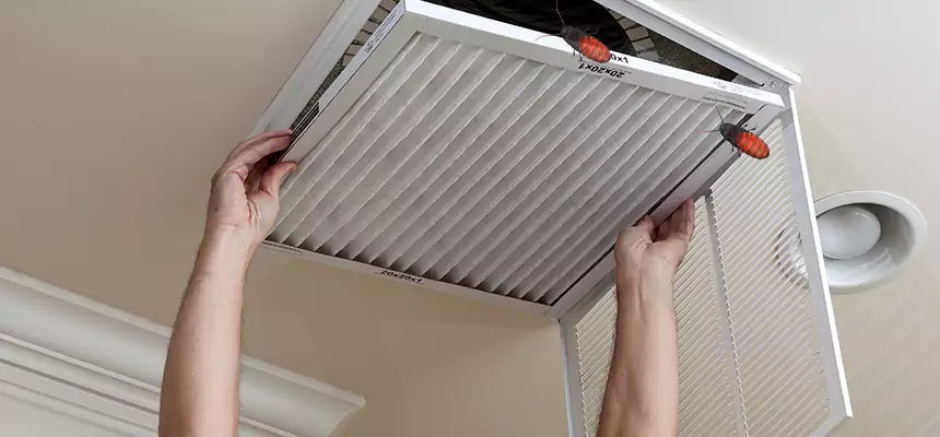 Our Insect Removal from Air Ducts Services in Estero, FL