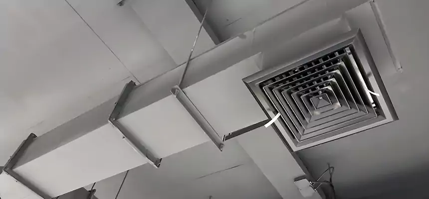 Our Rodent Droppings In Vents Services in Estero, FL