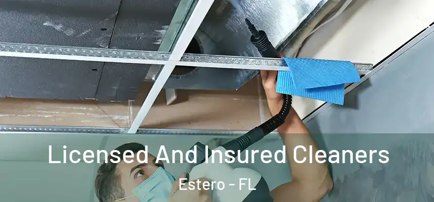 Licensed And Insured Cleaners Estero - FL