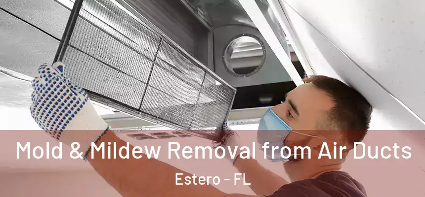  Mold & Mildew Removal from Air Ducts Estero - FL