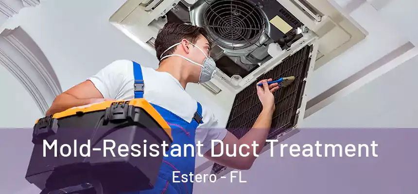  Mold-Resistant Duct Treatment Estero - FL