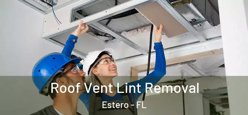  Roof Vent Lint Removal Estero - FL