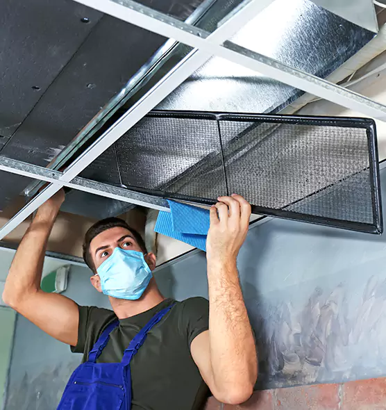 About Air Duct Bacteria Removal in Estero
