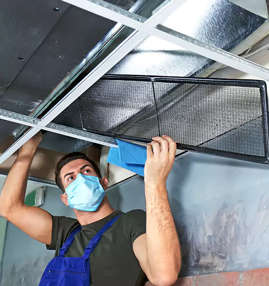 Professional Air Duct Pollen Cleaning in Estero, FL