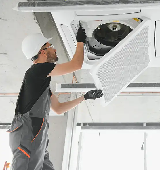 About Air Duct Rodent Removal in Estero, FL