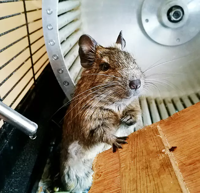 Why Homeowners & Businesses Trust Us Estero, FL?