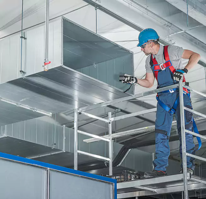 Why Homeowners & Businesses Trust Us in Estero, FL?