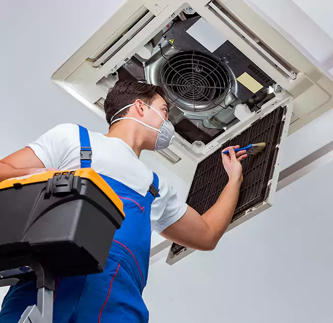 Why Homeowners & Businesses Trust Us in Estero, FL?