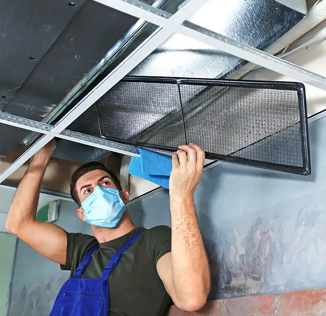 Why Homeowners & Businesses Trust Us in Estero, FL?