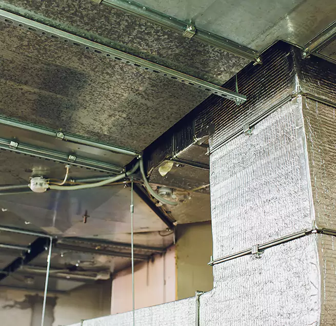 Why Homeowners & Businesses Trust Us in Estero, FL?