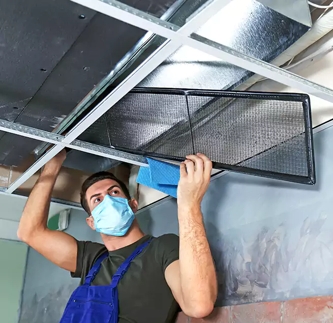 Why Homeowners Businesses Trust Us in Estero, FL